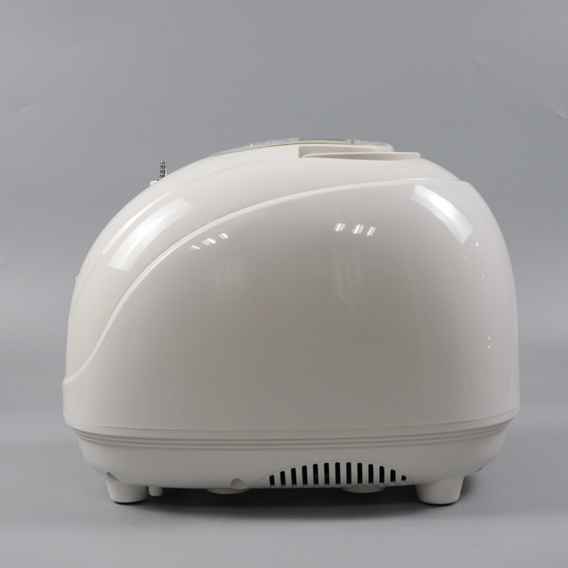 portable oxygen facial machine wholesale K1B-6.png