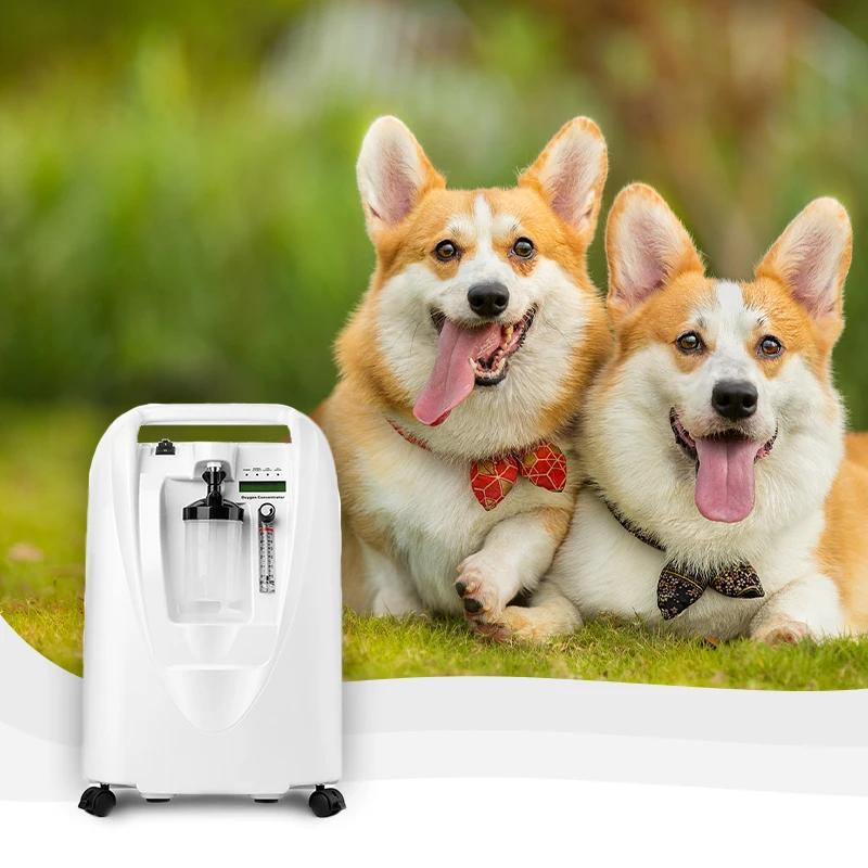 Benefits of Using Oxygen Concentrators in Veterinary Clinics