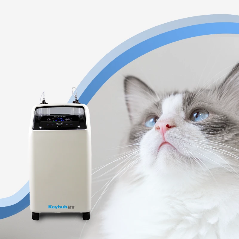 How to Choose the Right Oxygen Concentrator for Your Veterinary Practice?